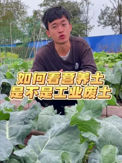 ôжӪǲ“ҵ” #ݪֲС #Ӫ #ҵ #ֲ #ֲ