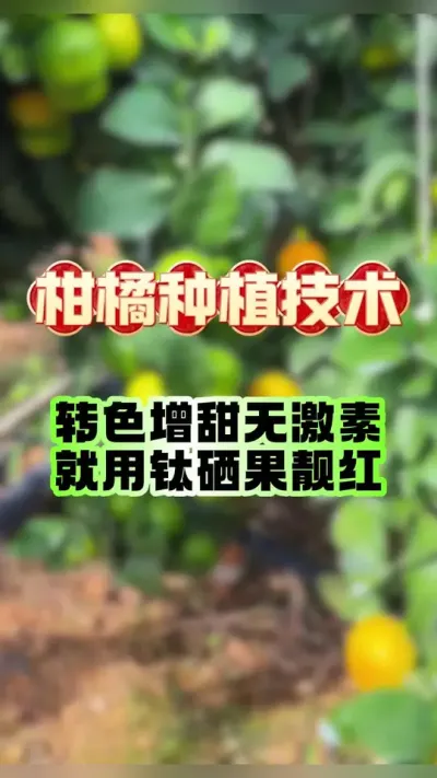 תɫ޼ظ徲#ݪֲ #תɫ #ٹ #ũҵݪֲ