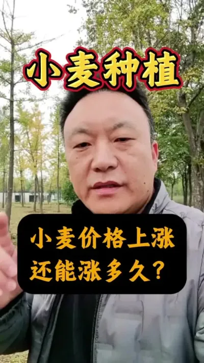 СǮˣǶ#Сݪֲ #СǮ