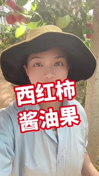 #西红柿种植 #记录我的种植生活 #大棚种植 小黄车下单@抖音小助手
