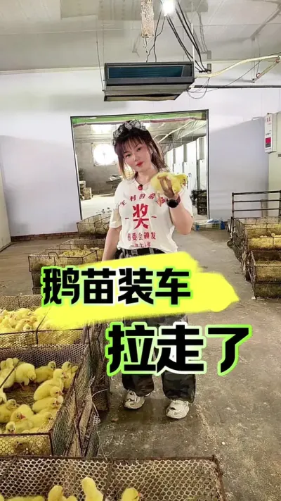 ����װ�������ϵּ�#������#����