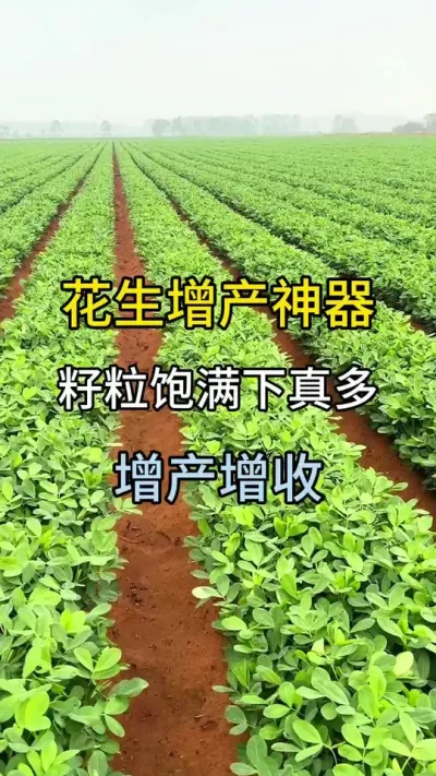 Ҫúٲ㶨 #ũҵݪֲ #ũݪֲ