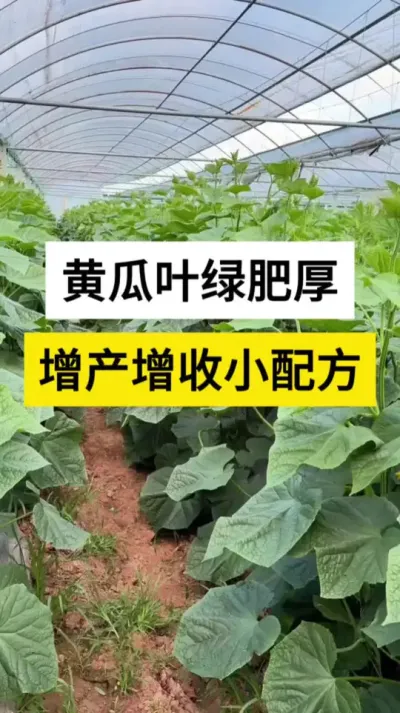 ƹҶ̷ʺС䷽ #ƹ #ƹݪֲ #ƹϸ߲ #ƹרҶ #ũ