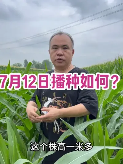 7  12 ղ չĶ 1400 #ũҵݪֲ