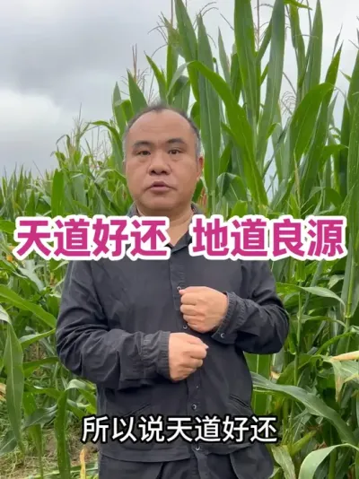 û Դ ûв溦ĽոʺҲҪв溦Ľոʺȼջߴ乤ҵã#ũҵݪֲ