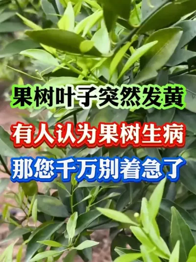 ҶͻȻż#ƻ #ƻ #ݪֲ #