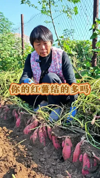 ֵĺĶ#ũ # #ũ #߲ #ݪֲС @С @DOU+ @DOU+С