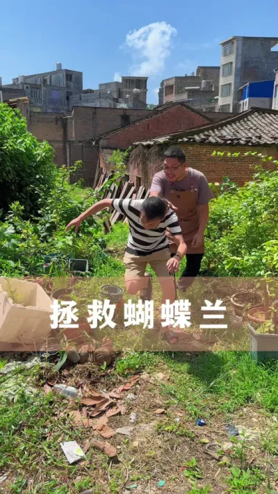 ���Ⱥ�����#���� #������ֲ #����С֪ʶ #������������