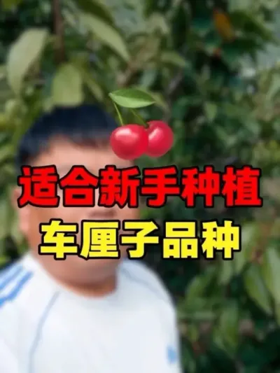 ʺݪֲĳƷ #Ӵӣ##ͥԺݪֲ#ũҵݪֲ