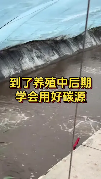 #ĶϺ#׶Ϻ#οˮ#ο#ˮֳ