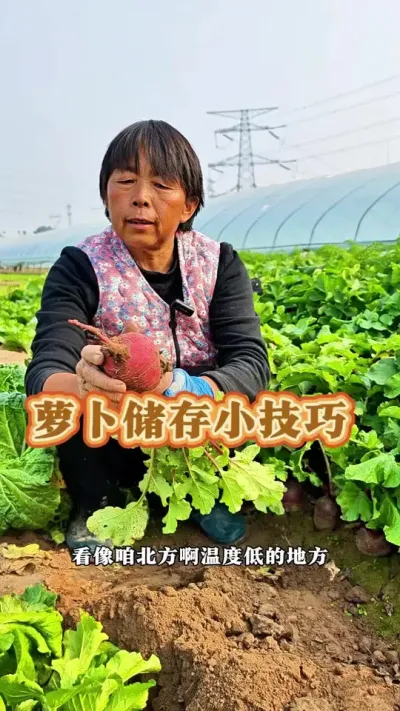 ܲС#ũ #ܲ #߲ #ݪֲС @С @DOU+С @DOU+