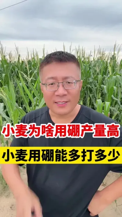 СͲһĶܲ #Сݪֲ # #Сݪֲ #С߲ #С @̷ũʣ