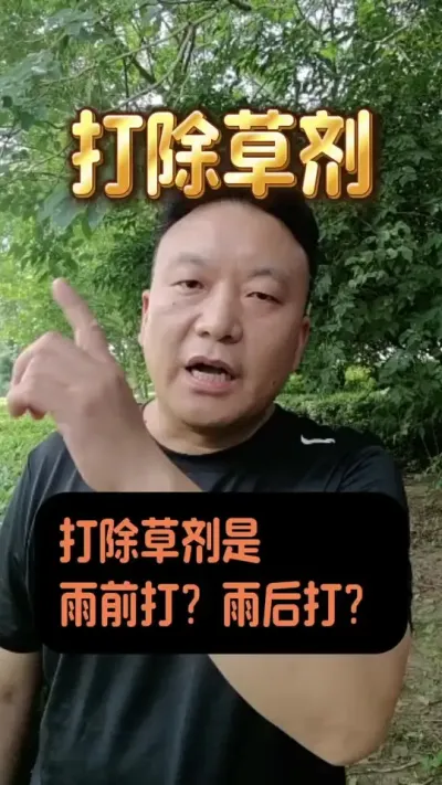 ���ݼ�����ǰ���վ�������#����ݪֲ�������� #�������ݼ�