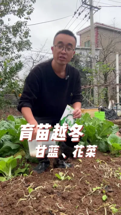 ԽˡԽţĸ#ֲС #ͥݪֲ #ݪֲС #ֲ #ѧֲ