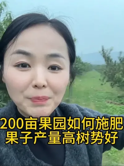 秋季底肥 分享200亩果园10几年的果园管理经验，这样施肥明年产量高，果子甜#分享农业知识帮农民增产增收 #果园管理 #三农种植