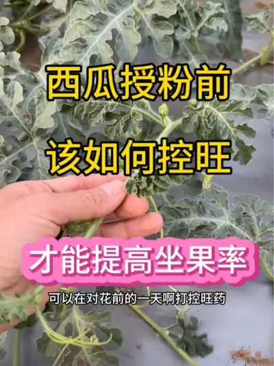 #抖音三农热点 #抖音助农扶农 #助农优品