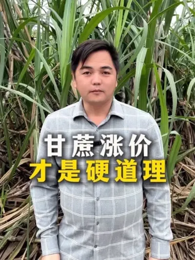 Ǽ۲Ӳԭ##ݪֲ#ݪֲС #ũҵ֪ʶũ #ղӲԭ