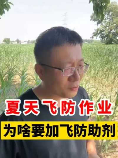 ɷҵΪɶһҪӷɷ #ũҵݪֲ #ݪֲ #ɷ #׸߲ݪֲ #ɷֲ