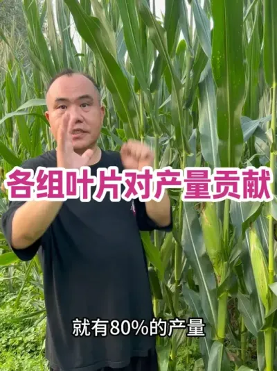 ҶƬԲТ˳ ֪ʶжϵȥͷԲĻӰ죡Ƶ 6  16 ղֵһţ