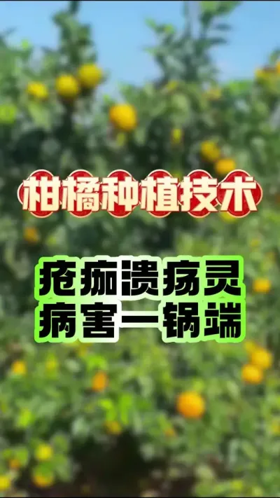 񡢴һ#ݪֲ # #ٹ #԰