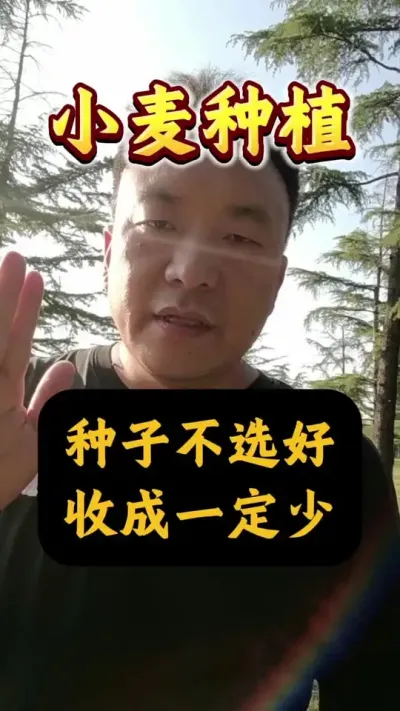 Ӳѡջһ٣#Сݪֲ #С