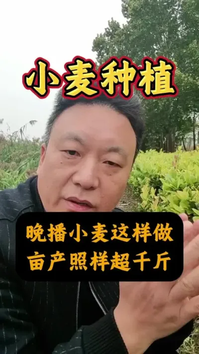 Сȥܴǧ#Сݪֲ #С #С