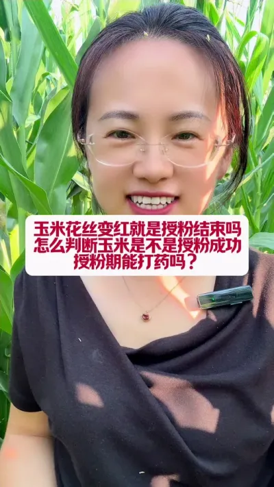 ׻˿ڷۿôжǲڷֳ #ũҵݪֲ #ݪֲС #ũݪֲ #ũ֧ũ