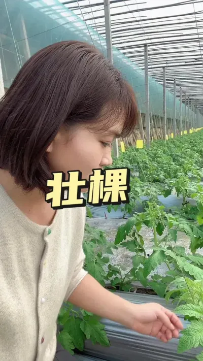 ##׳#ݪֲ ##¼ҵݪֲ µ@С