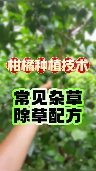 Ӳݳ䷽#ݪֲ #ٹ #ݼ䷽ #ũҵݪֲ #ũ