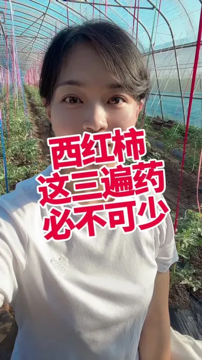 #ݪֲ#ݪֲ#ݪֲС#ũҵ֪ʶũ #ũҵС֪ʶ  ע ໥ѧϰ@С