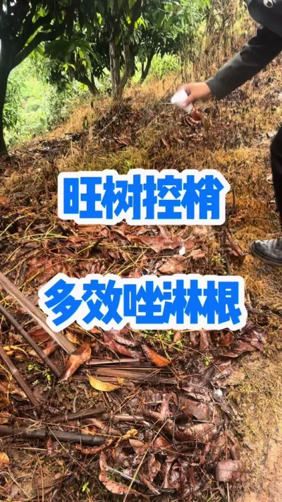 Ǭa^ηЧܸΣôɾв #Ч #԰ #ٻ