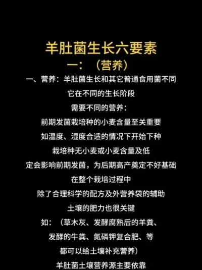 Ǿ벻Ҫأ #ԭƵ #Ǿ #Ǿݪֲ #Ǿݪֲ #Ǿݪֲ