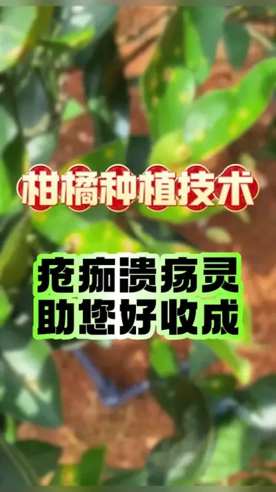 ջ#ݪֲ #ٹ # #ũҵݪֲ #ũ