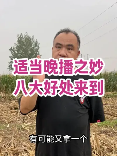 ʵ֮ ˴ ǰػöʶǿСʸۿأ#ũҵݪֲ