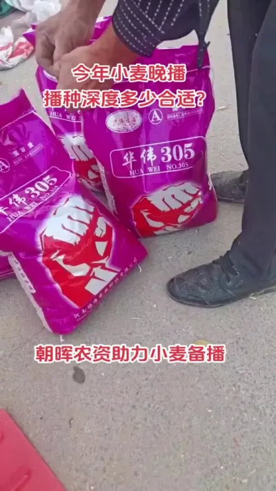 ʪȴС󲥶#ũ#ݪֲС #ũ#ݪֲ#DOU #ũ