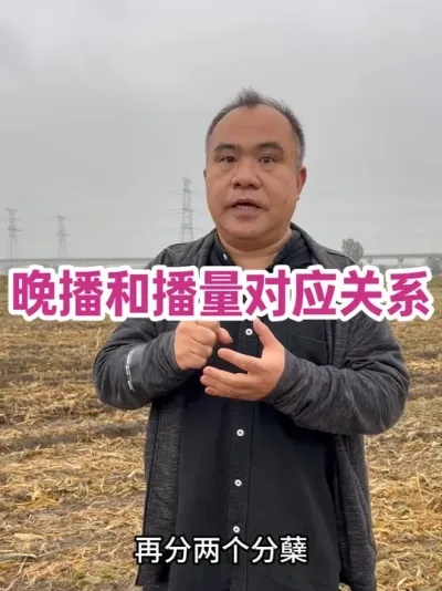 ͲӦϵ 顢ڡʵۺ໥ϵϵֲ#ũҵݪֲ