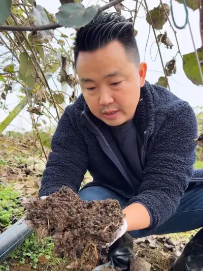 ⨺ݪֲõлϵʵѡ #ũ #ݪֲ #ũҵݪֲ #ݪֲС #⨺ݪֲ