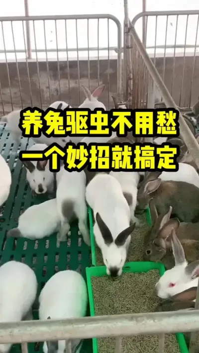 治سһо͸㶨 ##ֳ#ũ#