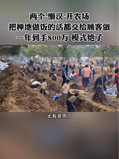 “”ũֵءĻ800Ӫģʽˣ#ũ #ũҵ #ũ #ũ #ũׯ