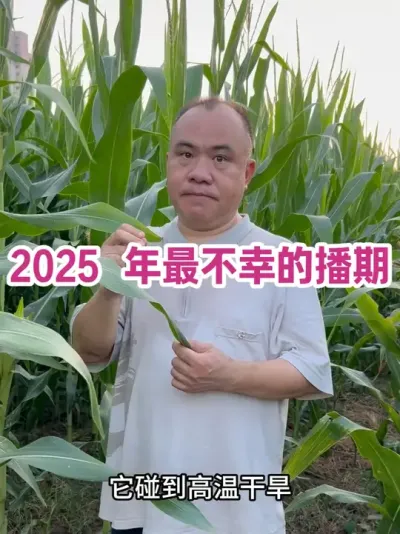 2025 ҵĲ 7 ·ͨ¸¸ɺ ֺ 30 쵽 60 롢ڷۡཬǰڶյ¸ɺΪҵĲڣ 6  1 Ҳֵˣ#ũҵݪֲ