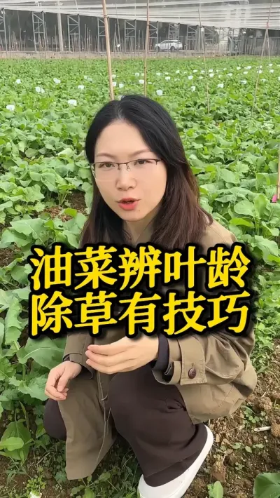 Ͳ˱Ҷм #֮ #ˮݪֲ #߲ #ũ #ũ