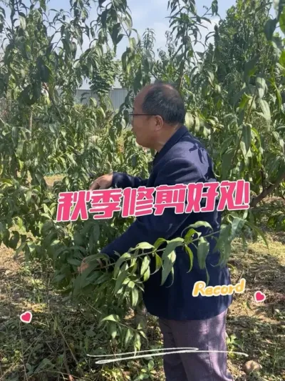 ＾޼ һǰ޼＾޼#޼