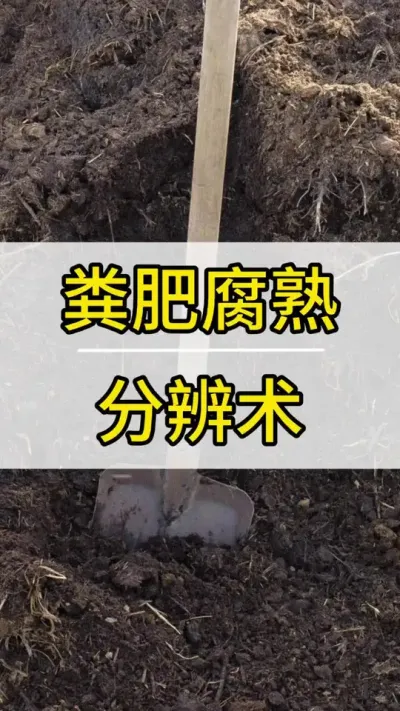 ַǷ ũҷʸ #ݪֲ #õ #ũ #ũҷ #ũݪֲ