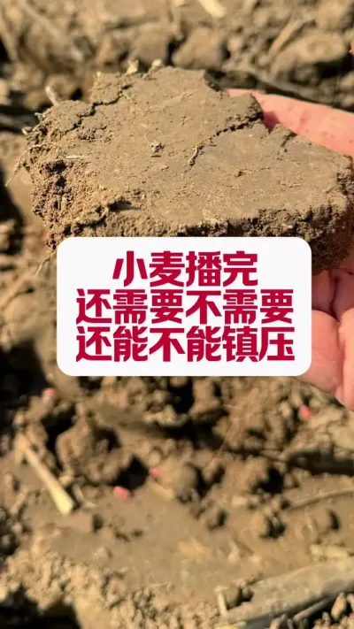 С������ѹ���� #ݪֲС����  #��ũݪֲ���� #ũҵ�Ƽ�ݪֲ #ݪֲ֪ʶ