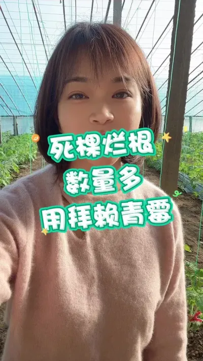 #ù#΢#ݪֲ#¼ҵݪֲ@С  Ҫ͵СƳ