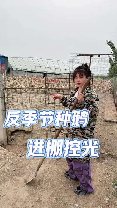 ֶع###ũ崴ҵֳ #ֶ