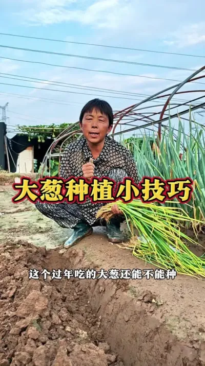 ֵĴвǹϲԴеĸæɣ#ݪֲ # #߲ #߲ݪֲ #ݪֲС @DOU+ @DOU+С @С