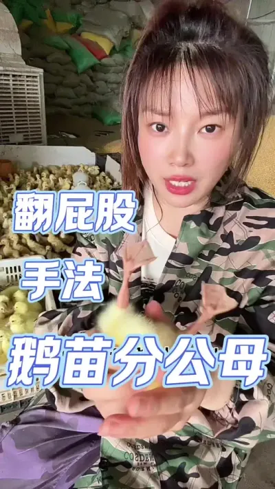 ֹĸַ###ũ崴ҵֳ #