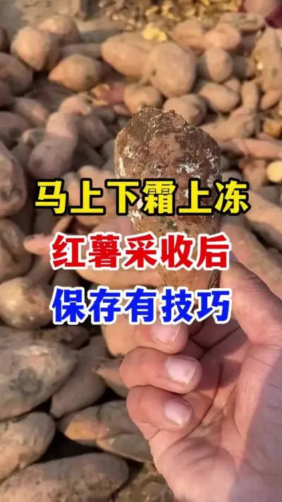 ˪϶պм#ݪֲ####߲