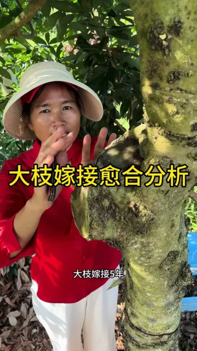 ֦޽#ѧũ#ũ2025 #dou #޽ #dou㶫